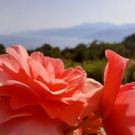 Magic Eden Appartement Rijeka